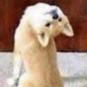 Meet your Posher, Juice